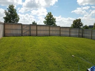 Fence Staining Before